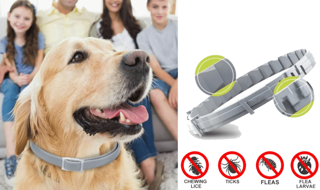 Fur Sweep Collar (Official Retailer) 2026