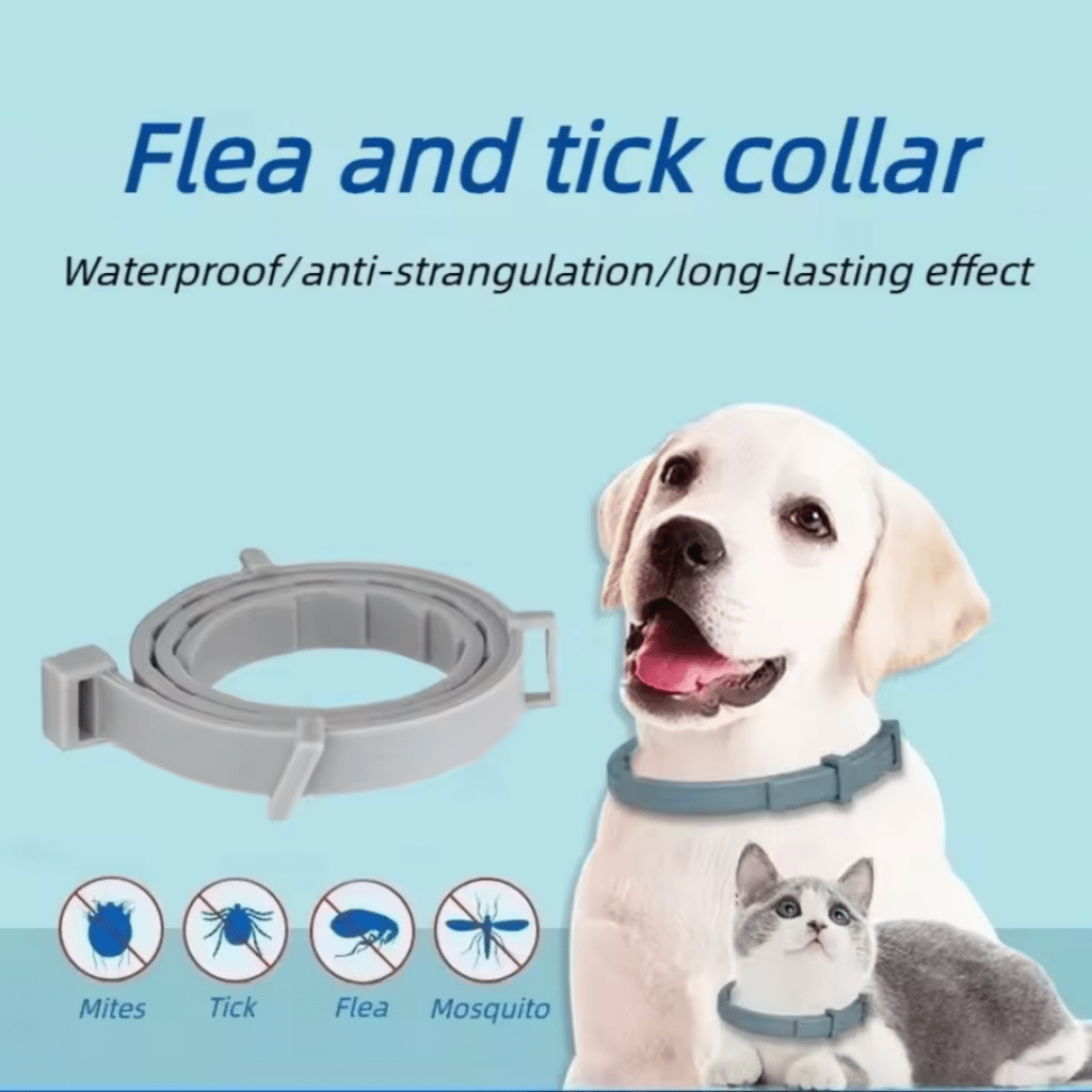 Fur Sweep Collar (Official Retailer) [year]