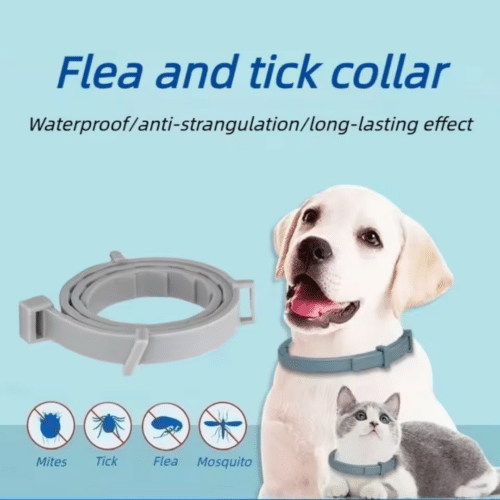 Fur Sweep Collar (Official Retailer) [year]